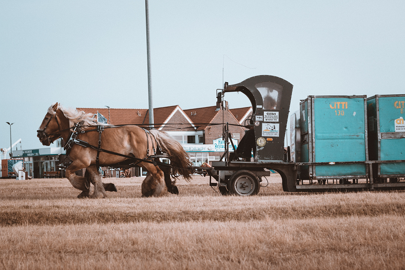 Une charrette tirée par des chevaux