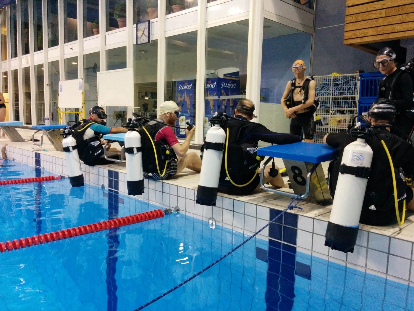 Des plongeurs qui s&rsquo;apprêtent à effectuer une bascule arrière dans la piscine.