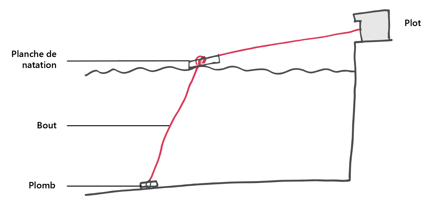 Le schéma de la planche de natation